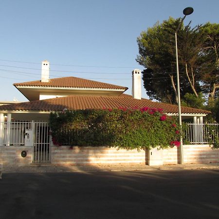 Go Pt - Private Challet With Swimming Pool And Garden Parede Buitenkant foto